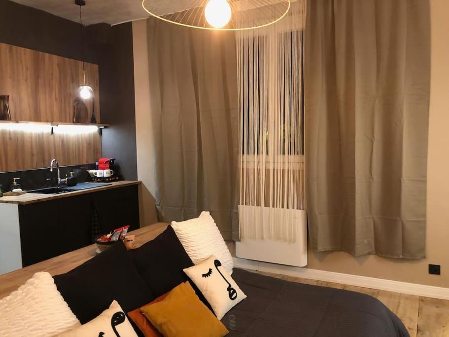 Le Tulum, T2, Hyper-Centre, Place Aux Herbes Mâcon Exteriér fotografie